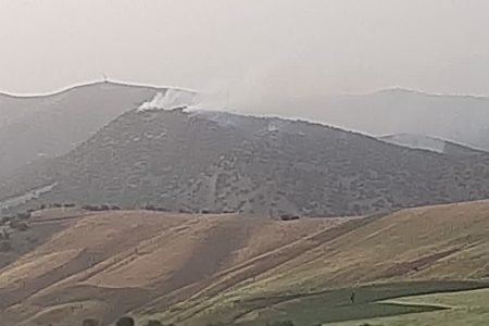 ۱۰۰ هکتار جنگل‌های بلوط در آتش نزاع ۲ دامدار سوخت