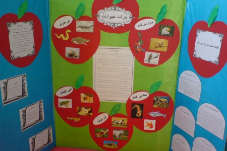 شرکت دانش آموزان دورودی در طرح جابر