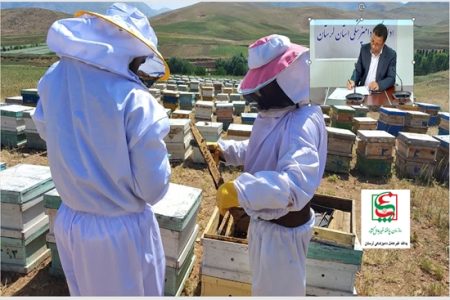 اجرای طرح پایش بیماری‌های زنبور عسل در لرستان