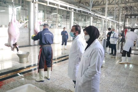 نظارت ۳۳ گروه دامپزشکی بر کشتار نذورات دامی در لرستان