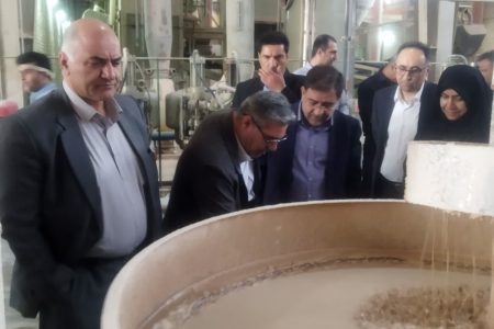 بازدید رئیس سازمان حمایت از صنایع کشور از واحدهای تولیدی بروجرد+تصاویر