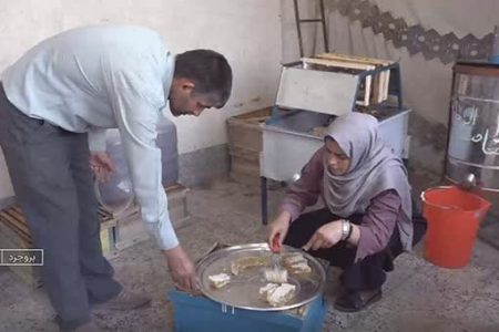 کار آفرینی بانوی توانمند بروجردی با زنبورداری