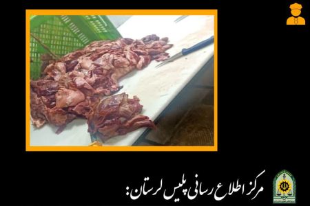 کشف ۵۰۰ کیلوگرم گوشت قرمز غیر بهداشتی در دورود