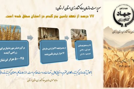 تحقق ۷۷ درصدی تعهد تأمین بذر گندم در لرستان