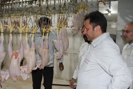 کشتارگاه مرغ کوهدشت افتتاح می شود