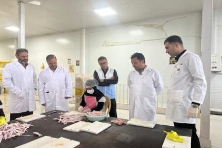 بازدید مدیر کل دامپزشکی لرستان از شرکت پای مرغ پاورچین