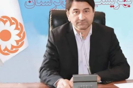 خدمات رسانی به بیش از هزار توانخواه در مراکز شبانه روزی لرستان