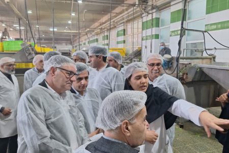توسعه صنایع تبدیلی و غذایی در لرستان با جذب هلدینگ های صنایع غذایی کشور