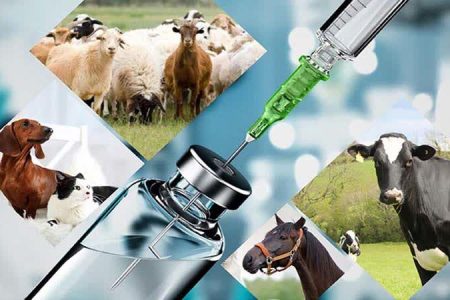 صادرات ۱۰ تن داروهای دامی از لرستان به مقصد افغانستان و پاکستان