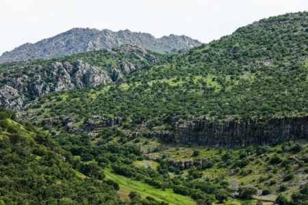 برگزاری هفتمین همایش ملی جنگل ایران در لرستان+تصاویر