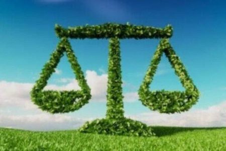 صدور حکم سبز برای ۴ متخلف زیستمحیطی در پلدختر