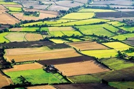 ۴۱۳ هزار هکتار زمین کشاورزی صاحب سند تک‌برگ شد