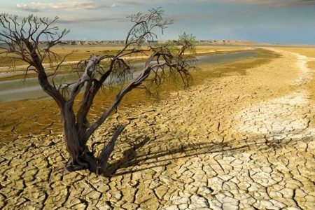 لرستان در چنگال خشکسالی تاریخی؛ذخایر آبی به مرز ورشکستگی رسید