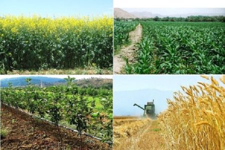 ایجاد شبکه منسجم سایت‌های الگویی کشاورزی در لرستان کلید خورد