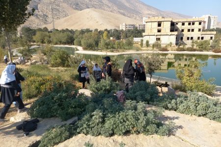 باغ گیاه‌شناسی زاگرس ظرفیتی برای توسعه باغات در لرستان