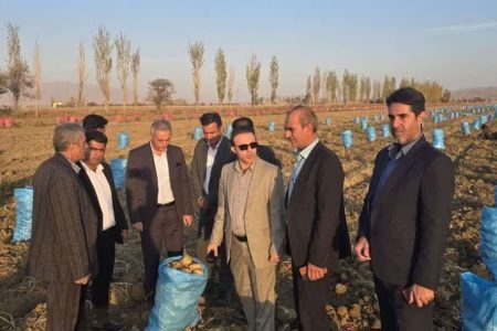 بذرهای زودرس و آبیاری نوین،راه نجات بخش کشاورزی از تنش آبی