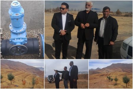 گیاهان دارویی می توانند نقش پررنگی در حفظ و ارتقا سلامت ایفا کنند