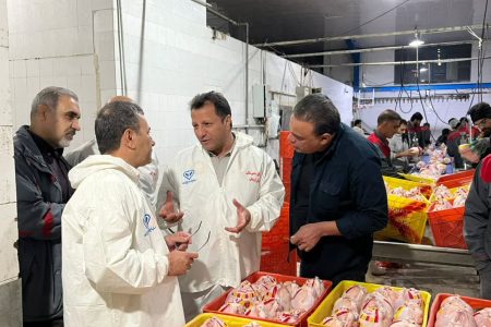 آرامش کامل در بازار مرغ لرستان