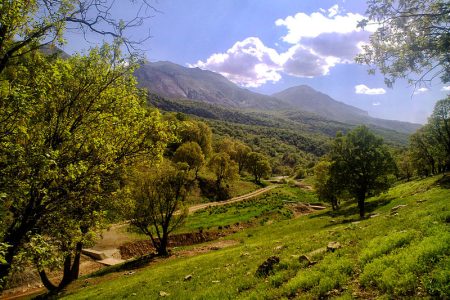 بررسی ۳۱ طرح تحقیقاتی در حوزه منابع طبیعی لرستان