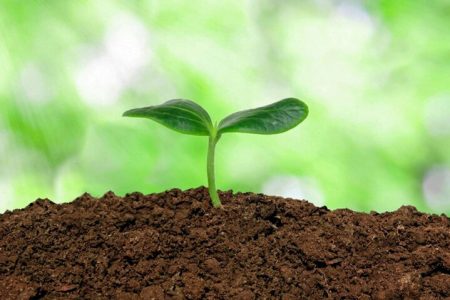 هفته خاک گرامی باد