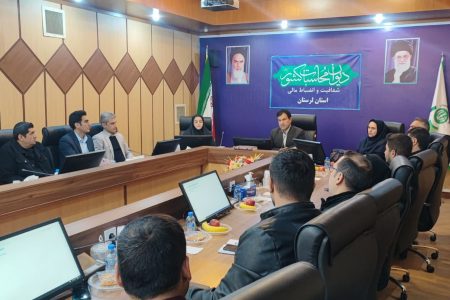 تاکید بر نقش محوری کارپردازان در سلامت مالی و اصلاح الگوی مصرف دولت