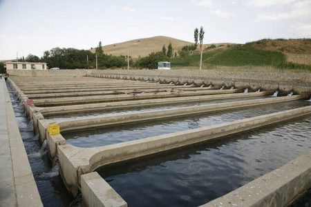 سیلاب‌های فصلی در کمین مزارع ماهی