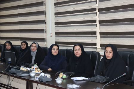 فعالیت ۱۴۰ بانوی دهیار در لرستان