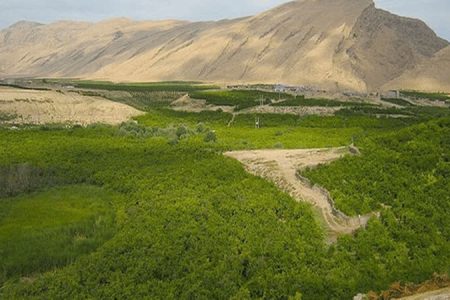 تعیین تکلیف ۵۰۴ هزار هکتار از اراضی غیر ملی در لرستان