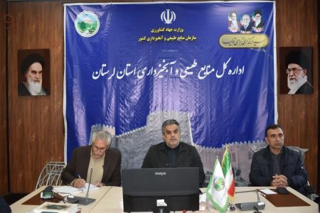 کاهش ۷۵ درصدی حریق در جنگل‌های لرستان