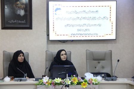 چالش‌های ساختاری و محیطی بازار فرهنگ و هنر لرستان بررسی شد
