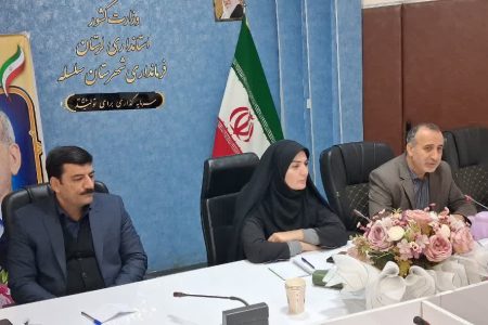 نقش موثر بیمه سلامت در ارائه خدمات مؤثر و پایدار به بیماران