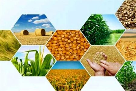 تولید ۱۲۰ هزار میلیارد‌تومانی بخش کشاورزی در لرستان