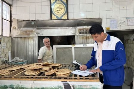 تشکیل ۲۵ پرونده تعزیراتی برای نانوایی‌های متخلف کوهدشت