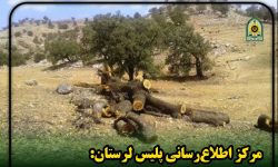 دستگیری عامل قطع درختان جنگلی در سلسله