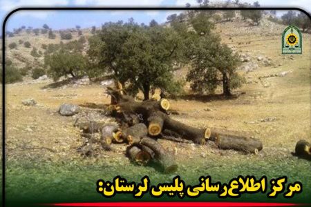 دستگیری عامل قطع درختان جنگلی در سلسله