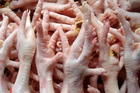 «پای مرغ» لرستان در مسیر بازارهای جهانی