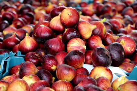 پلدختر در مسیر تبدیل شدن به قطب فرآوری انجیر کشور