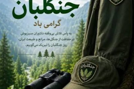 جنگلبانان پاسداران بی‌ادعای سرمایه‌های طبیعی کشور هستند
