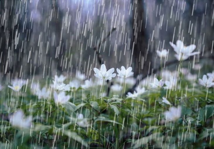 لرستان پر بارش‌ترین استان کشور؛ ۱۰۰۰ میلی‌متر بارندگی ثبت شد