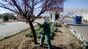 غرس بیش از ۵۰۰ اصله نهال میوه در منطقه ویژه اقتصادی لرستان