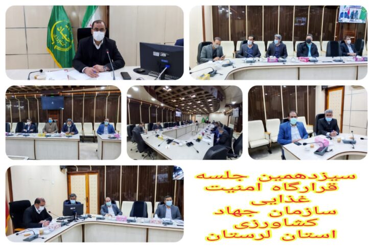 تحقق ۷۲ درصد از طرح جهش تولید در دیمزارهای لرستان