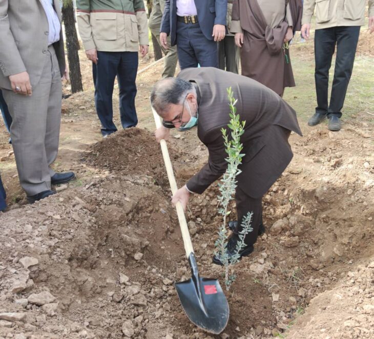 آغاز کاشت یک میلیون اصله نهال در لرستان