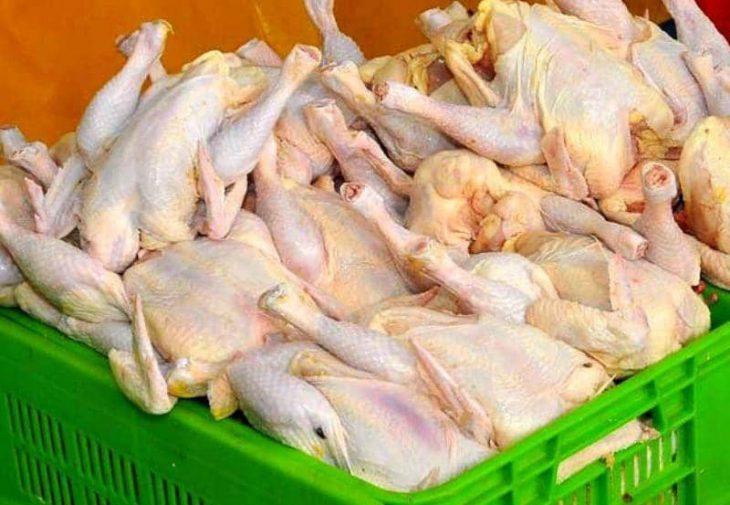 ذخیره سازی روزانه ۵۰ تن مرغ مازاد بر مصرف در لرستان