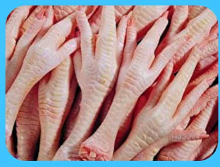 صادرات ۲۸ هزار کیلو‌گرم‌ پای مرغ از لرستان به ویتنام