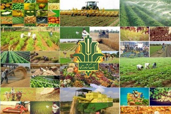رشد ۷۲ درصدی تسهیلات پرداختی بانک کشاورزی در سه ماهه اول امسال