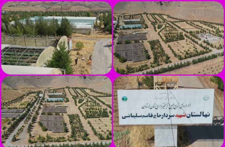 تولید ۳۰ میلیون اصله نهال در نهالستان های لرستان