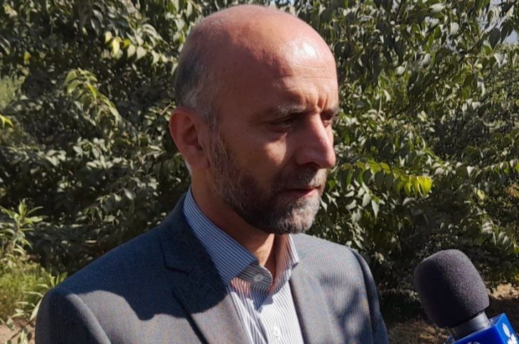 یک هزار هکتار به سطح باغات لرستان اضافه می شود