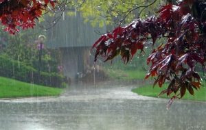 افزایش ۴۷ درصدی بارش ها در لرستان/ثبت بیشترین بارندگی ها در شول آباد
