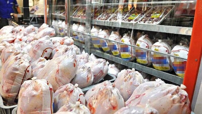 تولید ماهانه ۷ هزار تن گوشت مرغ در لرستان
