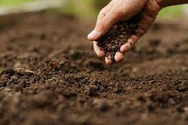 همایش خاک با شعار «خاک سرآغاز غذا» در خرم آباد برگزار شد